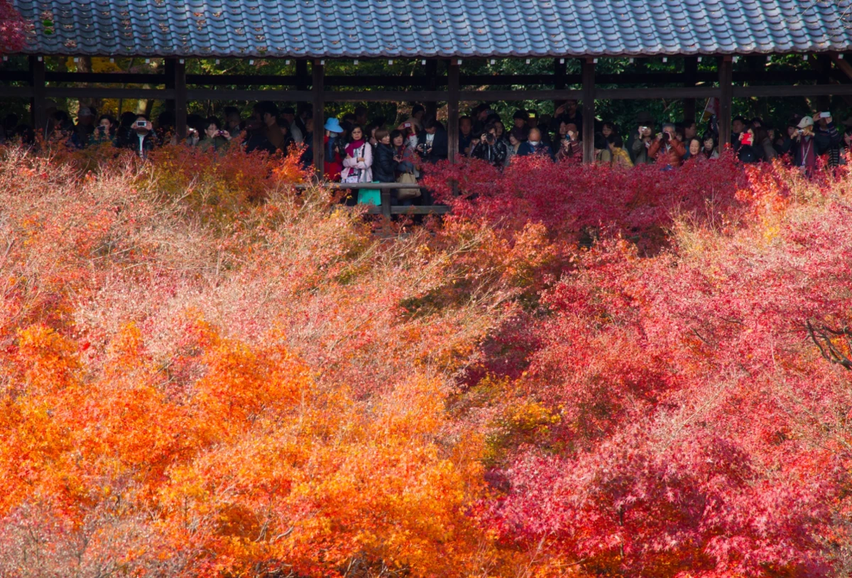 5-%EB%8F%84%ED%9B%84%EC%BF%A0%EC%A7%80.PNG?type=w1200