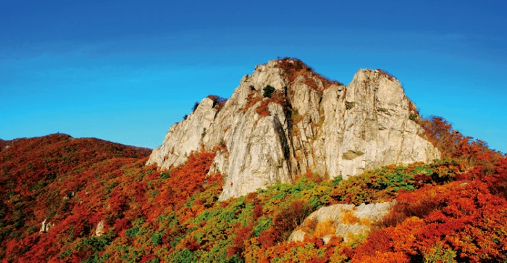 fa-6.png?w=740&ssl=1