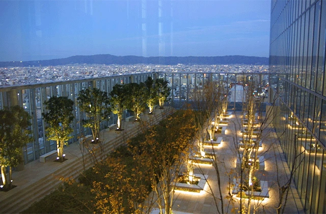 14846498066730.png?type=w1200