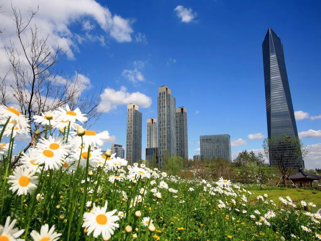 665651_16052711490042790377.jpg?s=1024x768