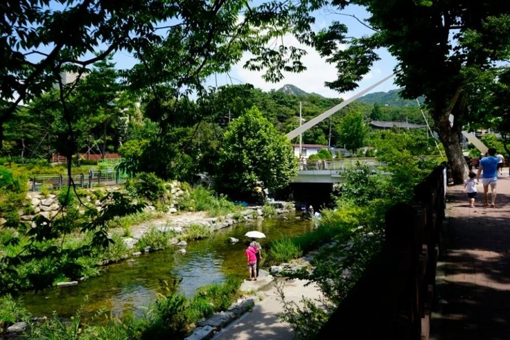 an-1.jpg?w=740&ssl=1