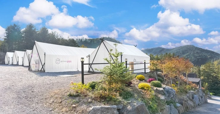 t.jpg?resize740%2C385amp;ssl1