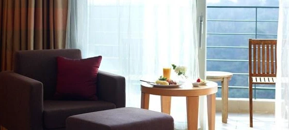 d-11.jpg?resize740%2C269amp;ssl1