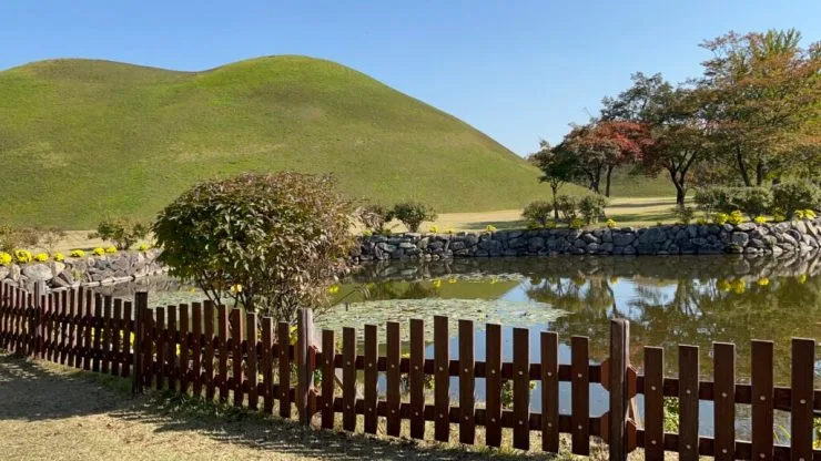 IMG_0881-1024x576.jpg?resize=740%2C416&amp;ssl=1