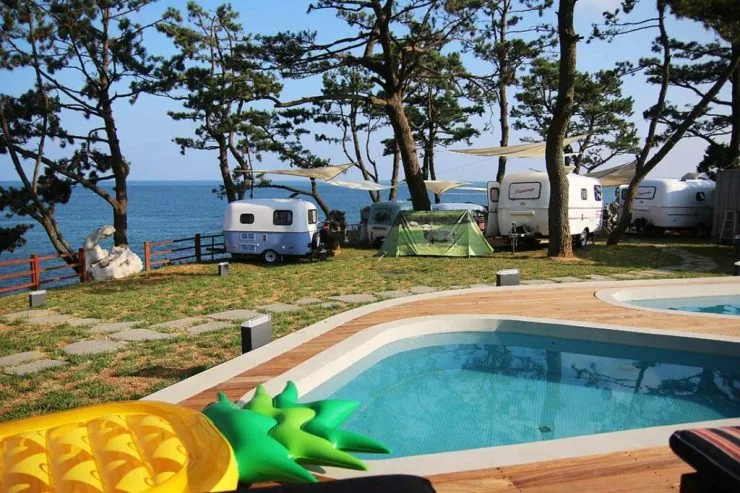 gallery.15082345199254-1024x682.jpg?resize740%2C493amp;ssl1