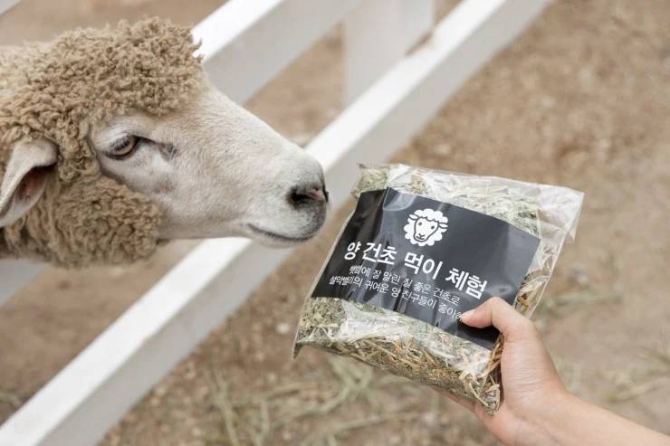 k3.jpg?resize740%2C493