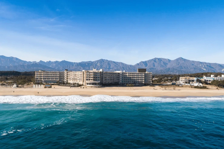 ee-2.png?resize740%2C493amp;ssl1