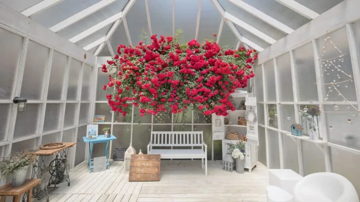 m-cafe3-1024x576.jpg?resize740%2C416amp;ssl1