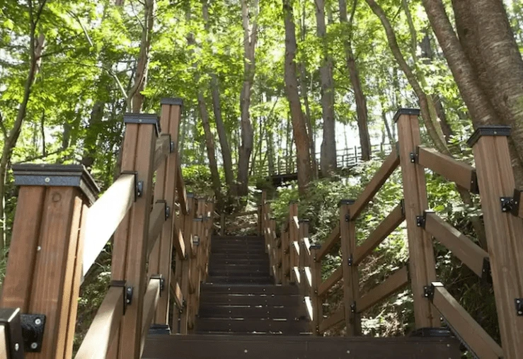 fasfw.png?w=740&ssl=1