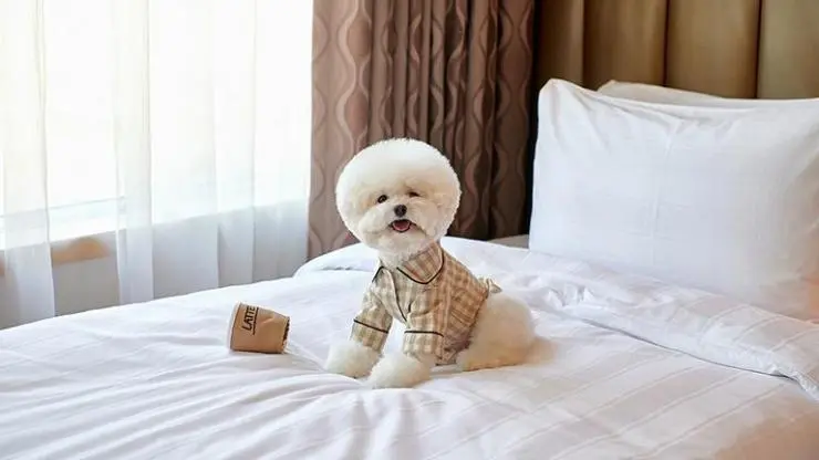 l2.jpg?resize740%2C416ssl1