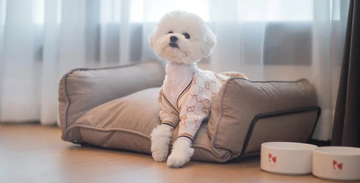 u-pet-1024x521.jpg?resize740%2C377amp;ssl1