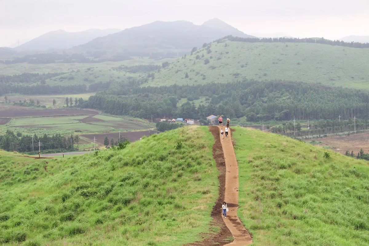 IMG_5239.jpg?type=w1200