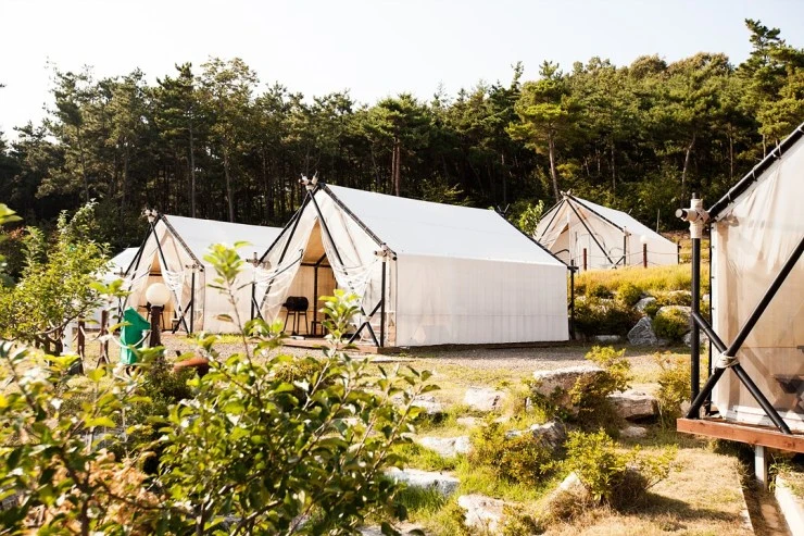 c-ex.jpg?fit740%2C494ssl1