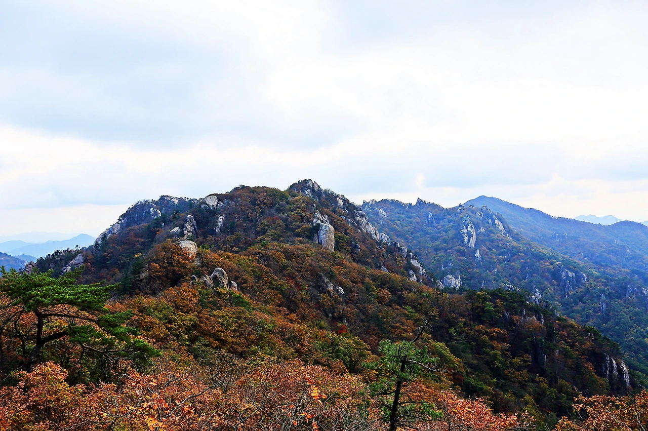 국내 가을 여행_보은 (1).JPG