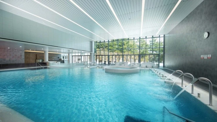 w-ip.jpg?fit=740%2C416&ssl=1