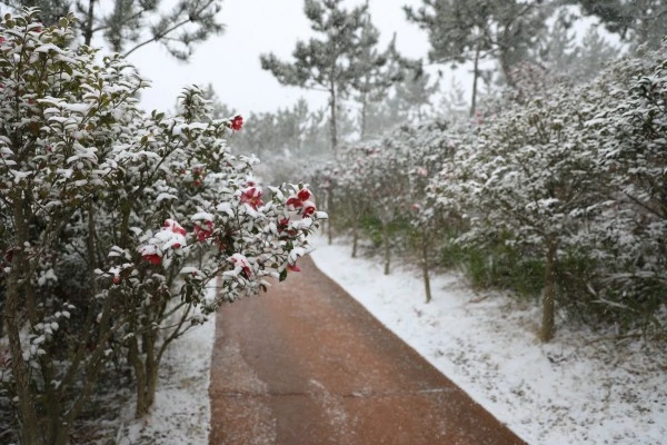 thumb-be0d271d687498f9591c9df664dddb45_1610964759_5403_600x400.jpeg?resize600%2C400ssl1