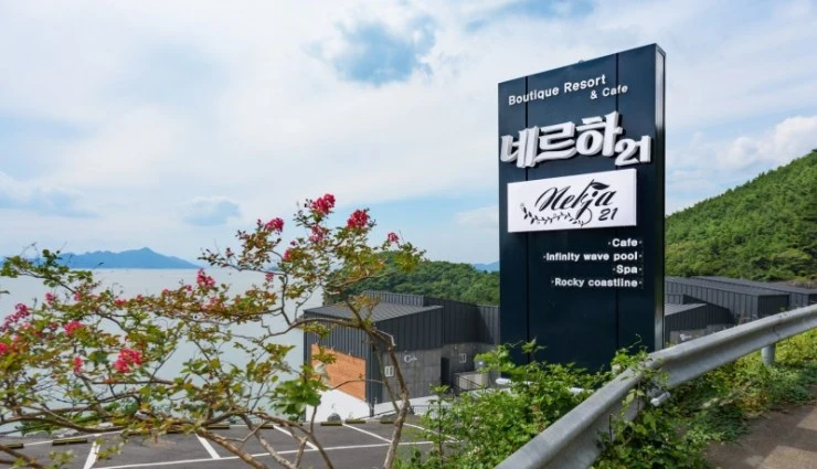 5dae8595411346.09561968.jpg?resize740%2C425amp;ssl1