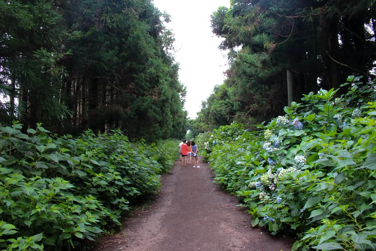 IMG_5112.jpg?type=w1200