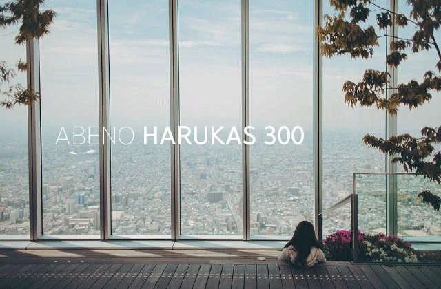 14846498049427.png?type=w1200