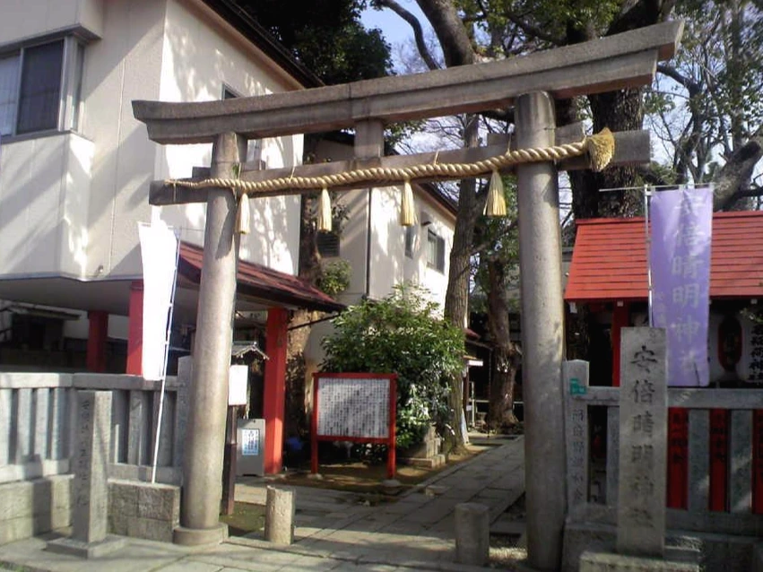 20090202_12-01_Seesaa.jpg?d=a0