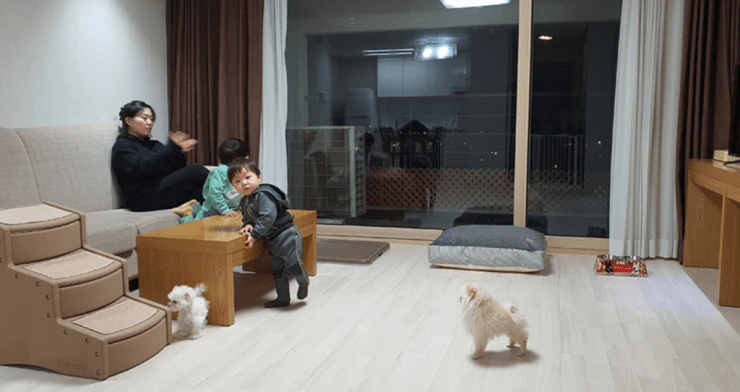 %E1%84%89%E1%85%B3%E1%84%8F%E1%85%B3%E1%84%85%E1%85%B5%E1%86%AB%E1%84%89%E1%85%A3%E1%86%BA-2022-05-26-%E1%84%8B%E1%85%A9%E1%84%92%E1%85%AE-6.17.49-1024x543.png?resize740%2C392amp;ssl1