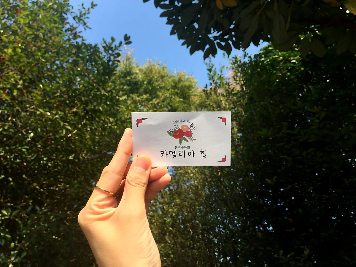 %EC%B9%B4%EB%A9%9C%EB%A6%AC%EC%95%84%ED%9E%906.jpg?type=w1200