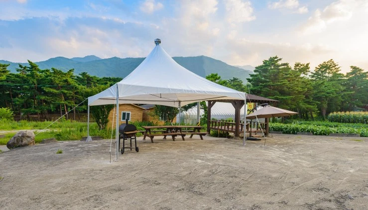 d-bbq.jpg?fit740%2C423ssl1