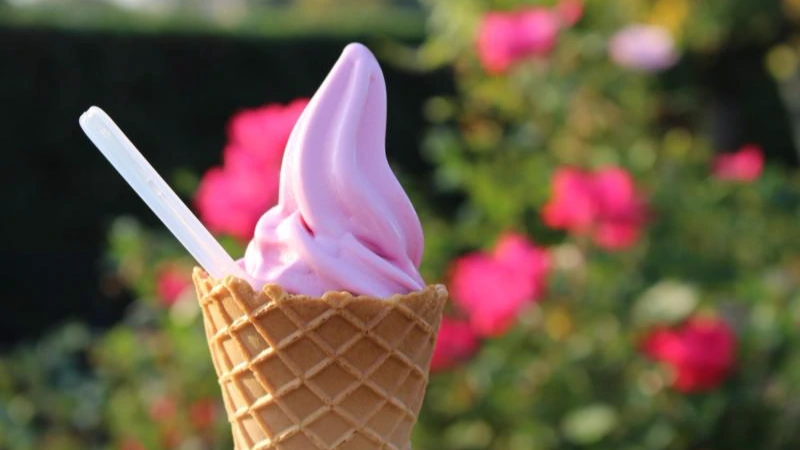 o0800053313464432987.jpg?caw=800