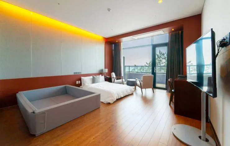 1-1-1-1024x649.jpg?resize740%2C469ssl1