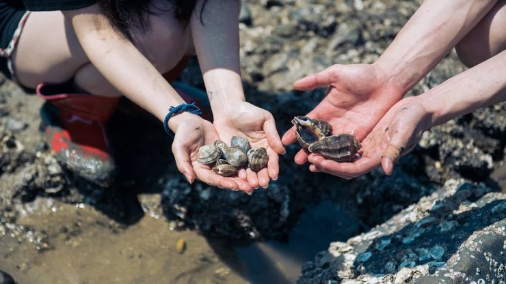 a-6.jpg?fit740%2C416ssl1