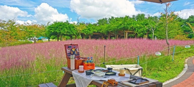 bo.jpg?resize=740%2C332