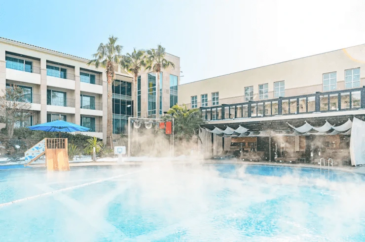 bfa-3.png?w=740&amp;ssl=1