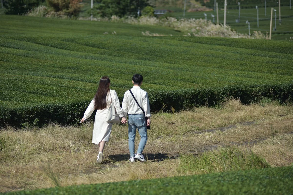 %EB%B3%B4%EB%A1%AC%EC%99%932.jpg?type=w1200