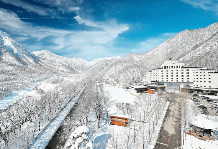 a-23.png?w=740&ssl=1