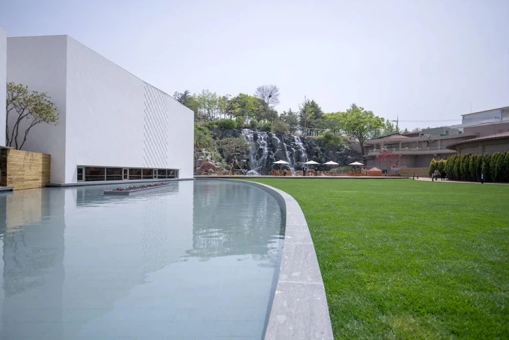 11390214_z.webp?resize=740%2C494&amp;ssl=1