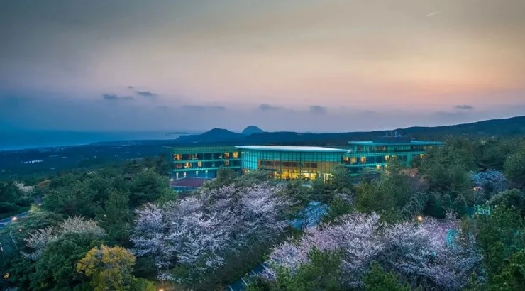 19-3.jpg?resize740%2C410amp;ssl1