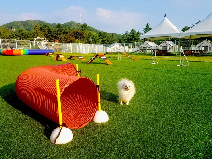 g4-2.jpg?resize=740%2C555&ssl=1