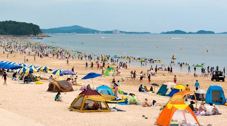 daecheon.jpg?w=740&ssl=1