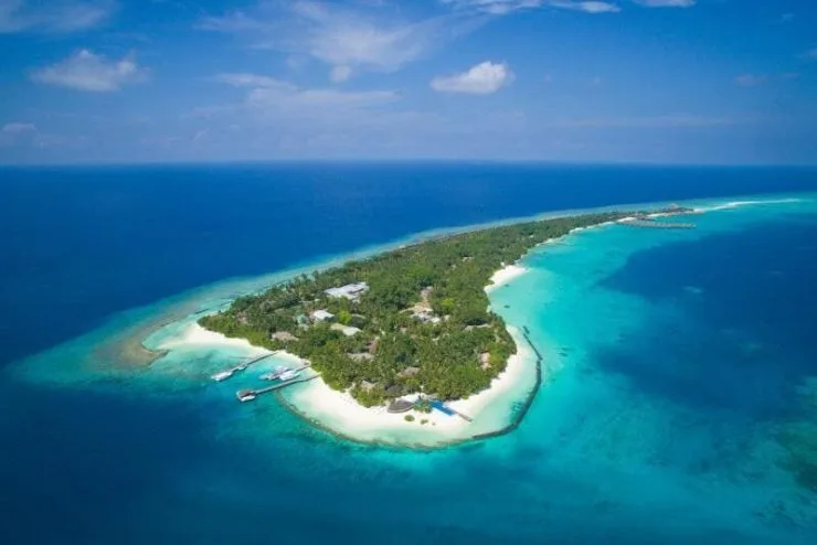 161631_16052417510042679237-edited.jpg?resize740%2C494amp;ssl1