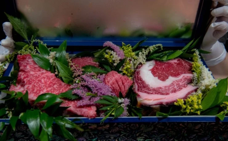 the-woo.jpg?resize740%2C457amp;ssl1