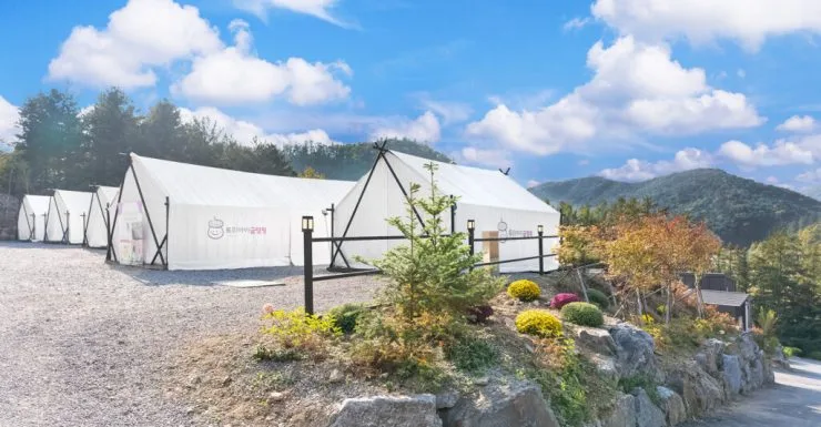 t-1024x533.jpg?resize740%2C385amp;ssl1