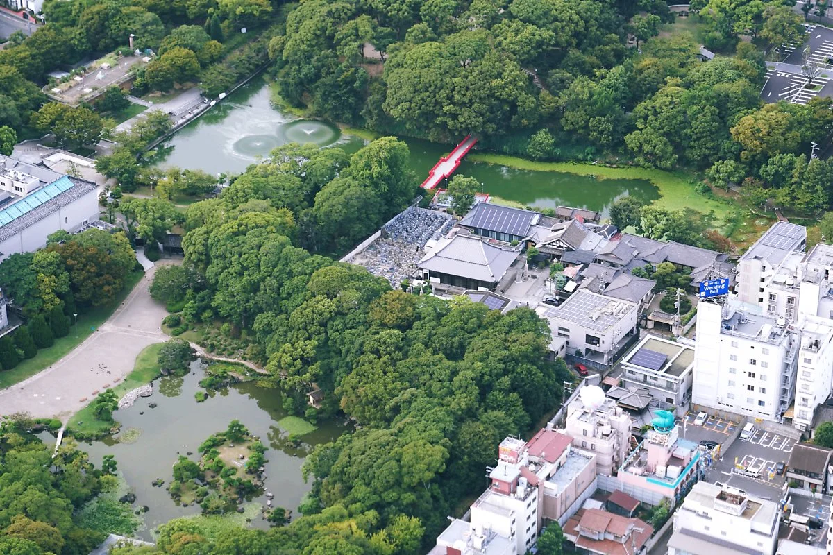 image_8936273591506476574328.jpg?type=w1200