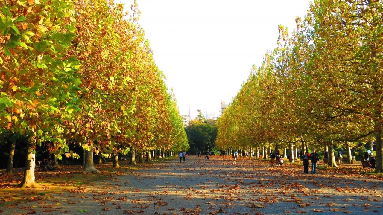 src_10832431.jpg?1384784124