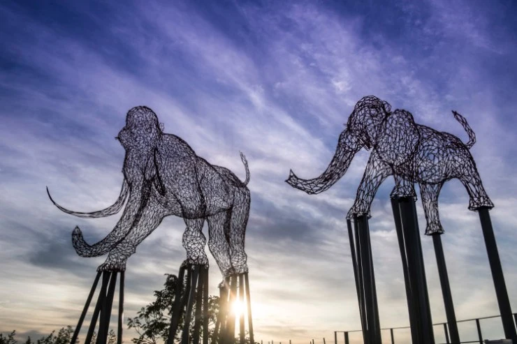 dd-4.jpg?resize740%2C493amp;ssl1