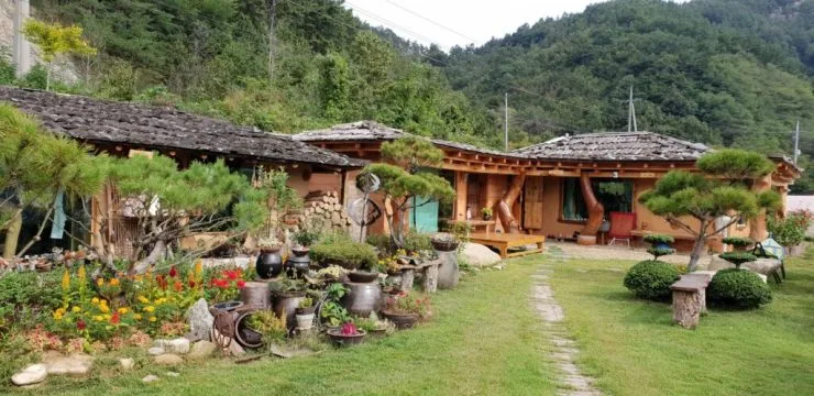 to-ex-1024x498.jpg?resize740%2C360ssl1