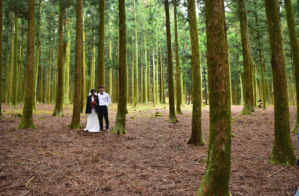 %EC%82%AC%EB%A0%A4%EB%8B%88%EC%88%B2%EA%B8%B8.jpg?type=w1200