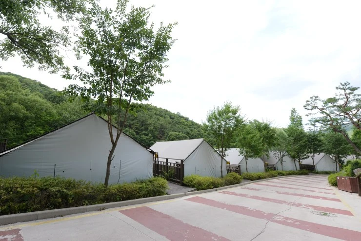 d-25.jpg?resize740%2C494amp;ssl1