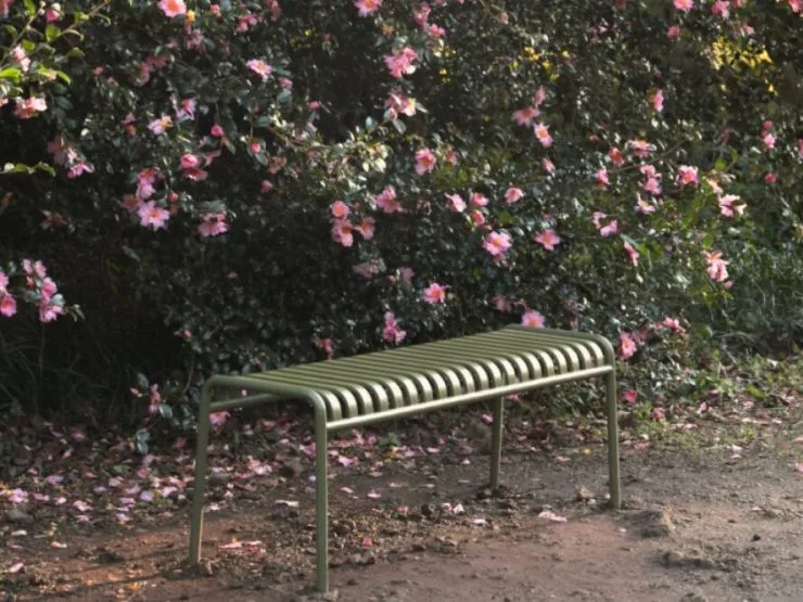 20220204_210235-edited.jpg?resize=740%2C555&amp;ssl=1