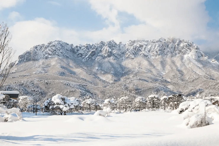 df-1.png?resize=740%2C493&amp;ssl=1