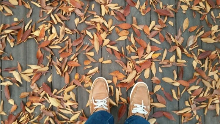 i2aUd0151xnyp5ybdv2wx_k3vbko.jpg?type=w740